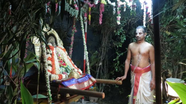 Thiruvelukkai Masi Kadai Velli Thayar Purappadu 2015 -15