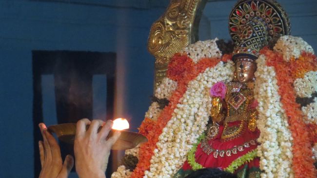 Thiruvelukkai Masi Kadai Velli Thayar Purappadu 2015 -19