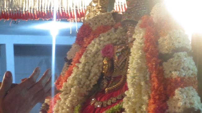 Thiruvelukkai Masi Kadai Velli Thayar Purappadu 2015 -22