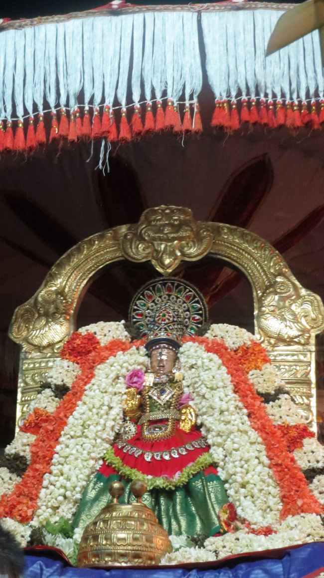 Thiruvelukkai Masi Kadai Velli Thayar Purappadu 2015 -28