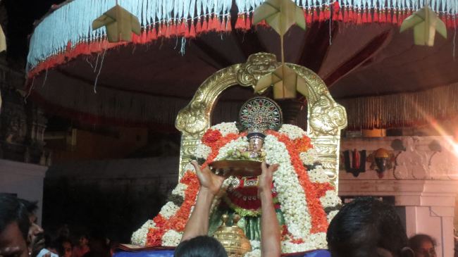 Thiruvelukkai Masi Kadai Velli Thayar Purappadu 2015 -29