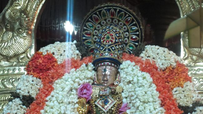 Thiruvelukkai Masi Kadai Velli Thayar Purappadu 2015 -30