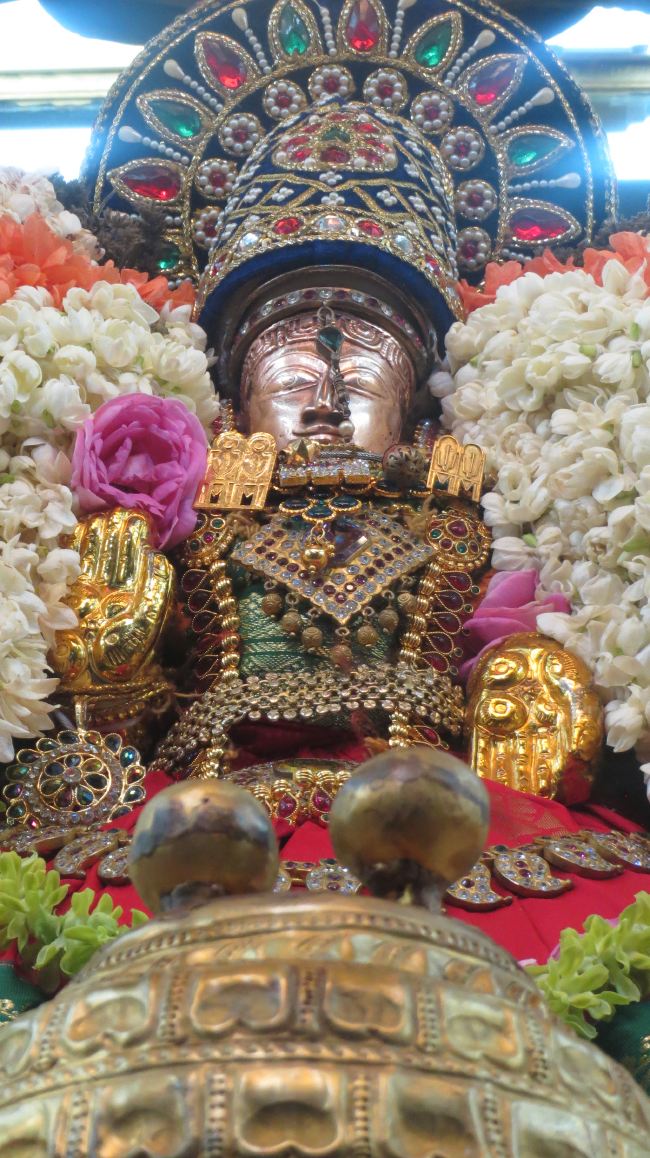 Thiruvelukkai Masi Kadai Velli Thayar Purappadu 2015 -33
