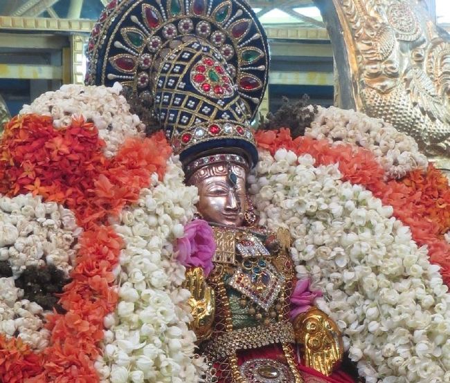 Thiruvelukkai Masi Kadai Velli Thayar Purappadu 2015 -34
