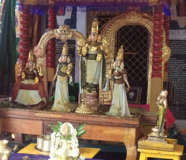 Thiruvelukkai Sri Azhagiya Singaperumal Temple Dhavanotsavam day 3 2015 -19