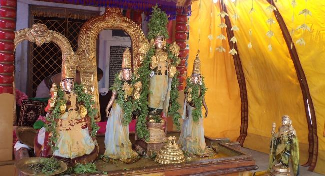 Thiruvelukkai Sri Azhagiya Singaperumal Temple Dhavanotsavam day 3 2015 -23