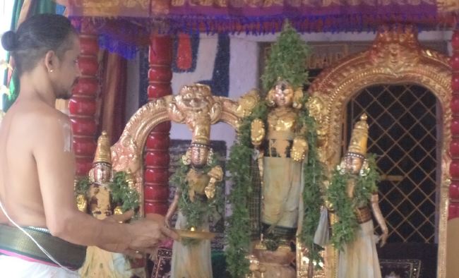 Thiruvelukkai Sri Azhagiya Singaperumal Temple Dhavanotsavam day 3 2015 -24