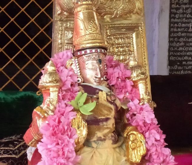 Thiruvelukkai Sri Azhagiya Singaperumal Temple Dhavanotsavam day 3 2015 -31