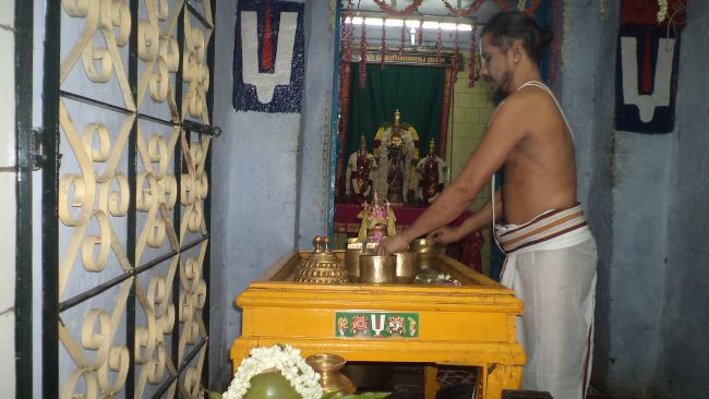 Thiruvelukkai Sri Azhagiyasinga Perumal Panguni Ammavasai Thirumanjanam 2015 -07