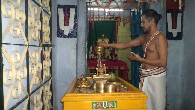 Thiruvelukkai Sri Azhagiyasinga Perumal Panguni Ammavasai Thirumanjanam 2015 -12