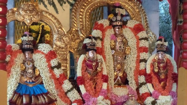 Thiruvelukkai Sri Azhagiyasinga Perumal Temple Dhavana UTsavam day 3  2015 -08