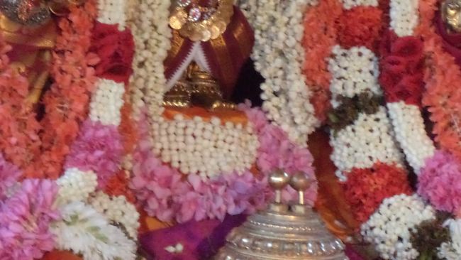 Thiruvelukkai Sri Azhagiyasinga Perumal Temple Dhavana UTsavam day 3  2015 -10