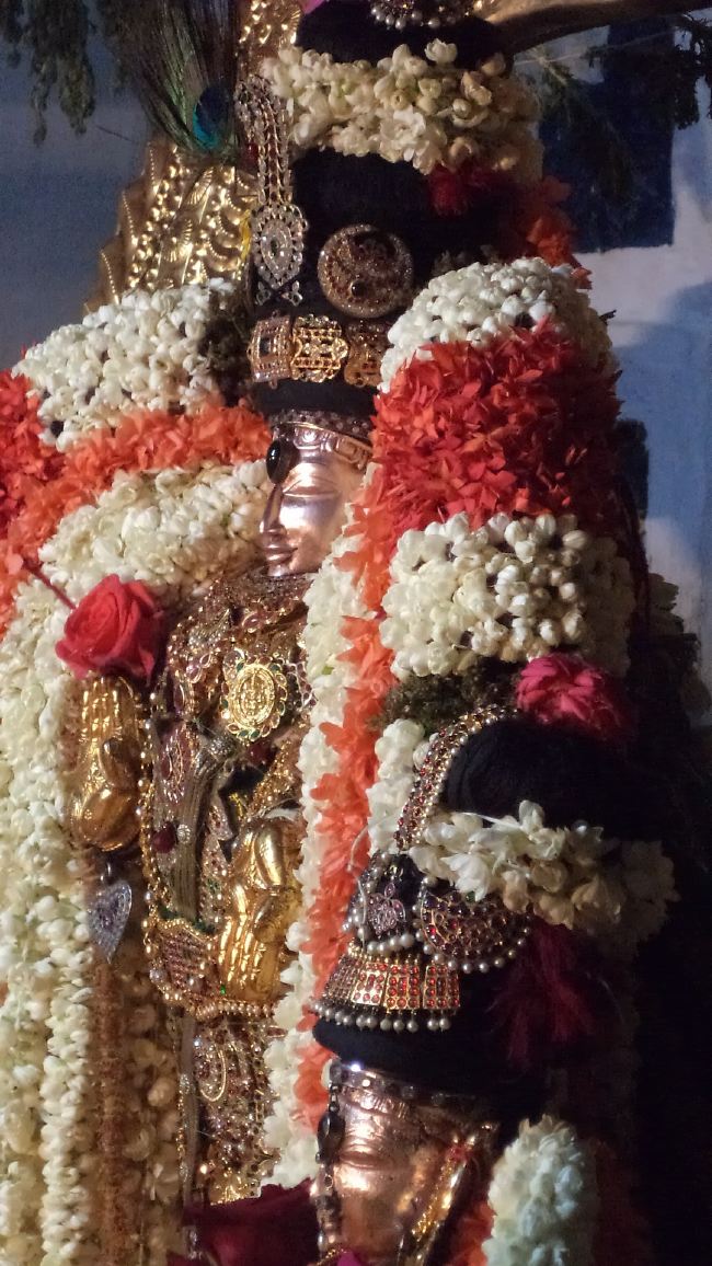 Thiruvelukkai Sri Azhagiyasinga Perumal Temple Dhavana UTsavam day 3  2015 -14
