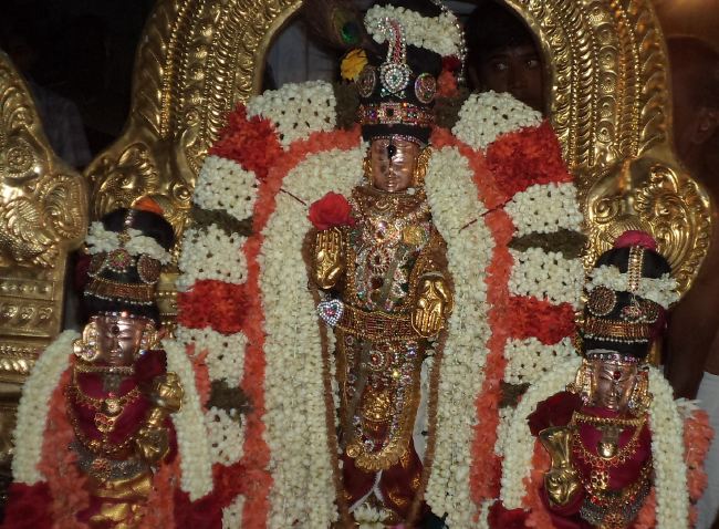 Thiruvelukkai Sri Azhagiyasinga Perumal Temple Dhavana UTsavam day 3  2015 -29