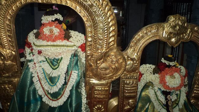 Thiruvelukkai Sri Azhagiyasinga Perumal Temple Dhavana UTsavam day 3  2015 -33