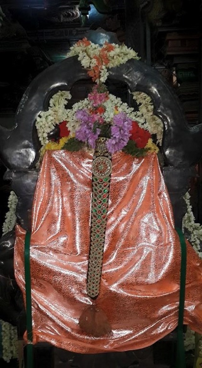 Thiruvinnagar Sri Oppilliappan Venkatachalapathi Temple Panguni Masa Sravana Purappadu11