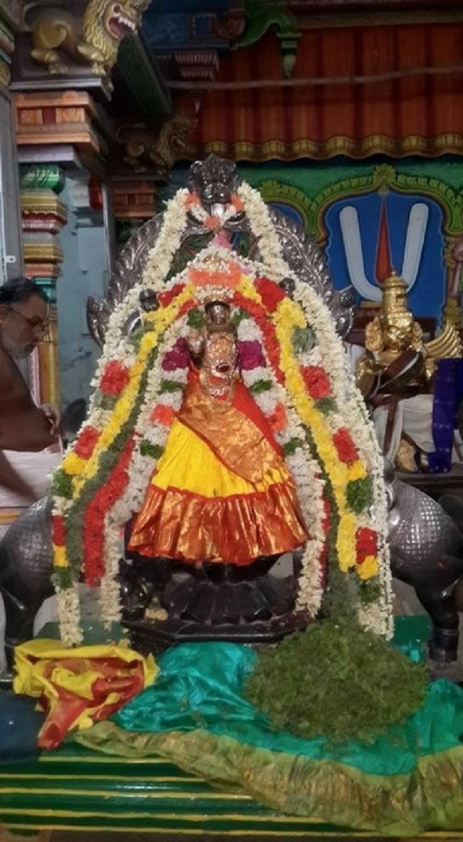 Thiruvinnagar Sri Oppilliappan Venkatachalapathi Temple Panguni Masa Sravana Purappadu3