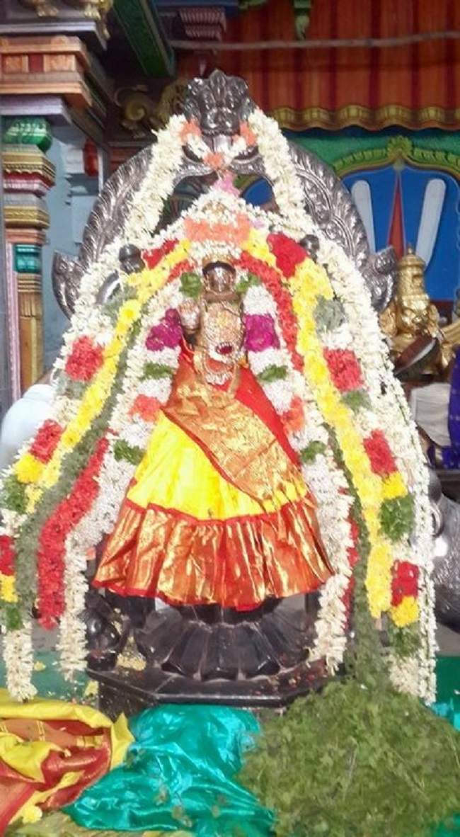 Thiruvinnagar Sri Oppilliappan Venkatachalapathi Temple Panguni Masa Sravana Purappadu9