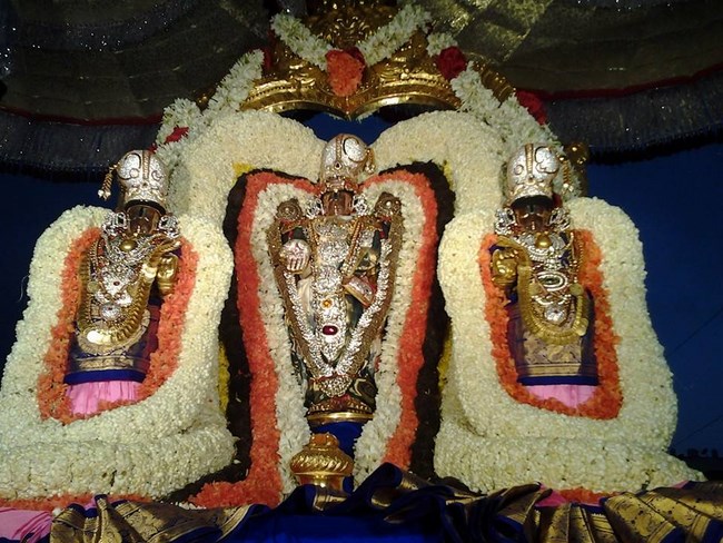 Tirumala Sri Malayappaswamy Temple Varshika Theppothsavam Concludes4