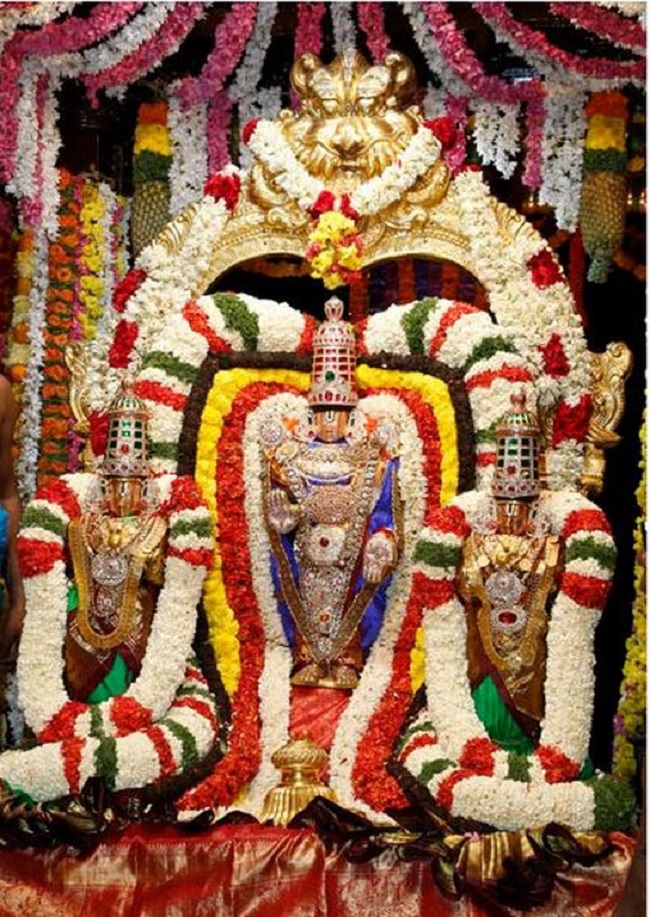 Tirumala Sri Malayappaswamy Temple Varshika Theppothsavam3