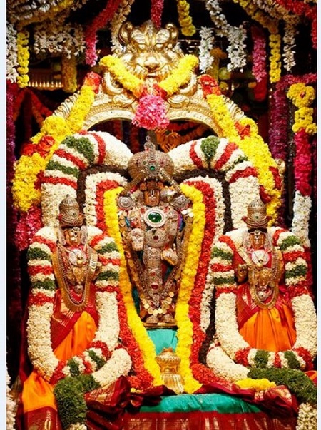 Tirumala Sri Malayappaswamy Temple Varshika Theppothsavam5