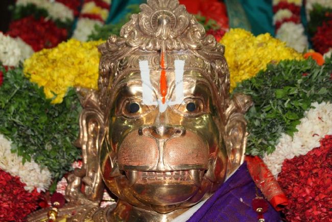 Tirumalagiri Sri lakshmi Venkateswara Swamy Temple Brahmotsavam Hanumantha vahanam 2015 -06