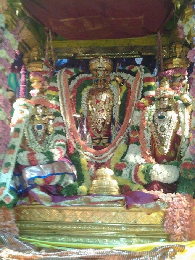 Tirupathi Sri Kothandaramaswamy Temple Brahmotsavam1