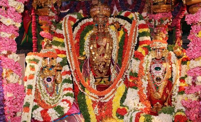 Tirupathi Sri Kothandaramaswamy Temple Brahmotsavam11