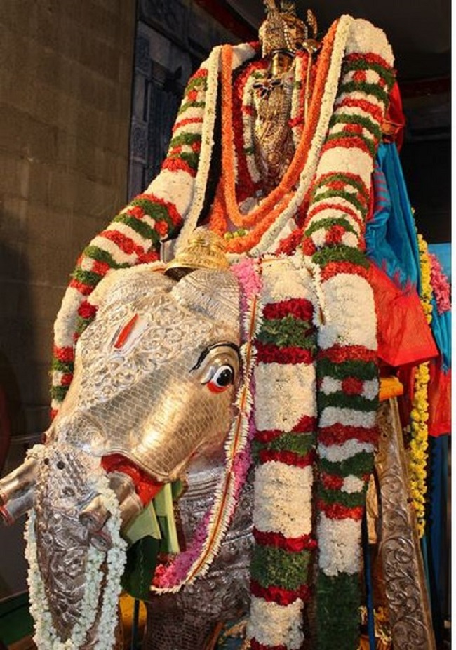 Tirupathi Sri Kothandaramaswamy Temple Brahmotsavam8