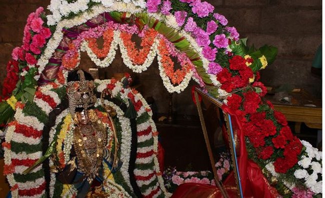 Tirupathi Sri Kothandaramaswamy Temple Brahmotsavam9