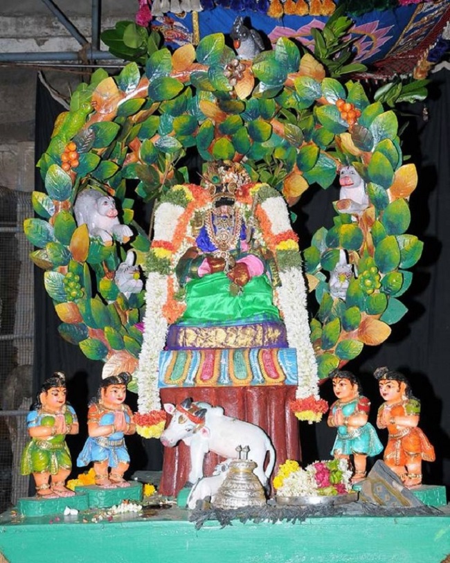Upper Ahobilam Sri Ahobila Narasimha Swami Temple Brahmotsavam15