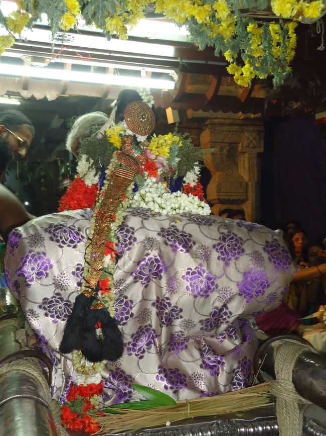 Uraiyur Sri Kamalavalli Nachiyar Kovil Theppam day 5 2015 -12