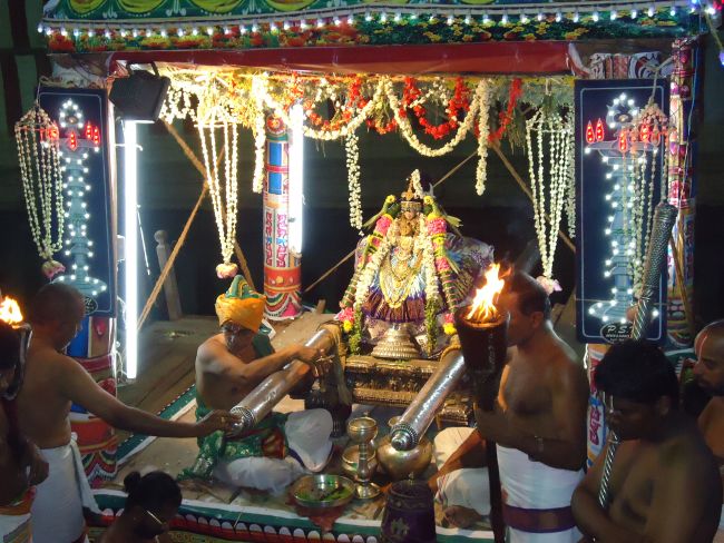 Uraiyur Sri Kamalavalli Nachiyar Kovil Theppam day 5 2015 -29