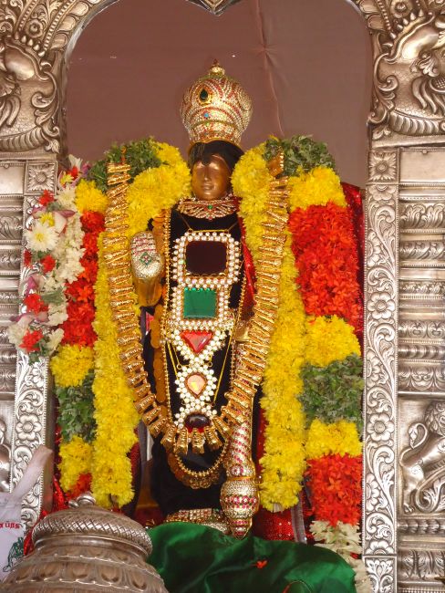 Uthamur Kovil Perumal Theerthavari at Srirangam 2015 -07