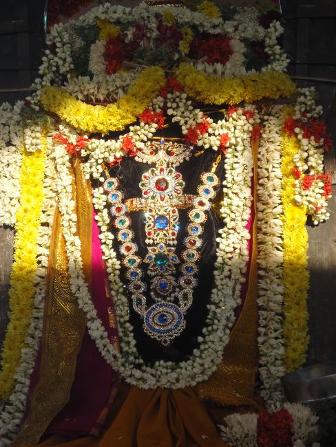 Uthamur Kovil Perumal Theerthavari at Srirangam 2015 -15