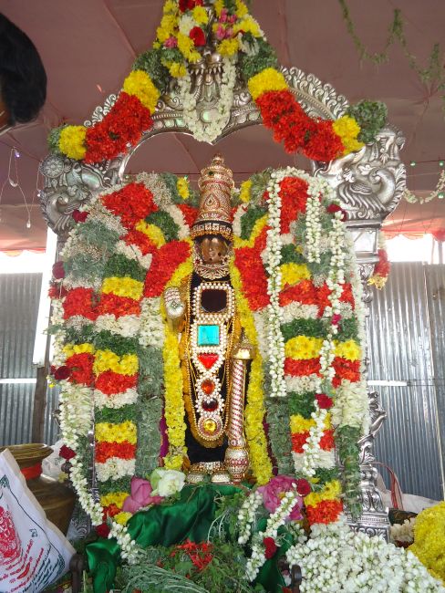 Uthamur Kovil Perumal Theerthavari at Srirangam 2015 -16