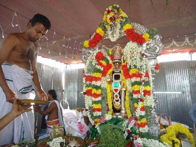 Uthamur Kovil Perumal Theerthavari at Srirangam 2015 -26