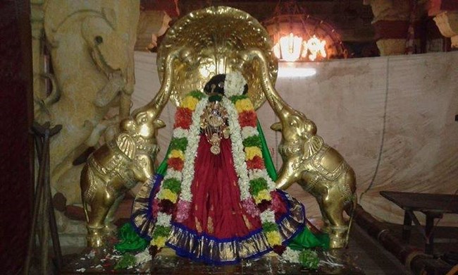 Vanamamalai Sri Deivanayaga Perumal Temple Panguni Brahmotsavam Commences7
