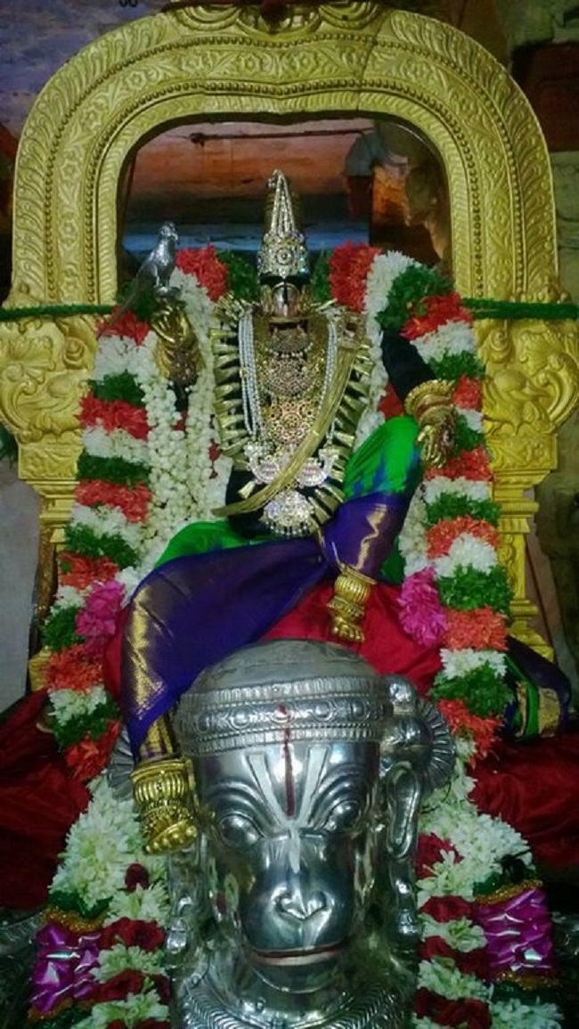 Vanamamalai Sri Deivanayaga Perumal Temple Panguni Brahmotsavam1