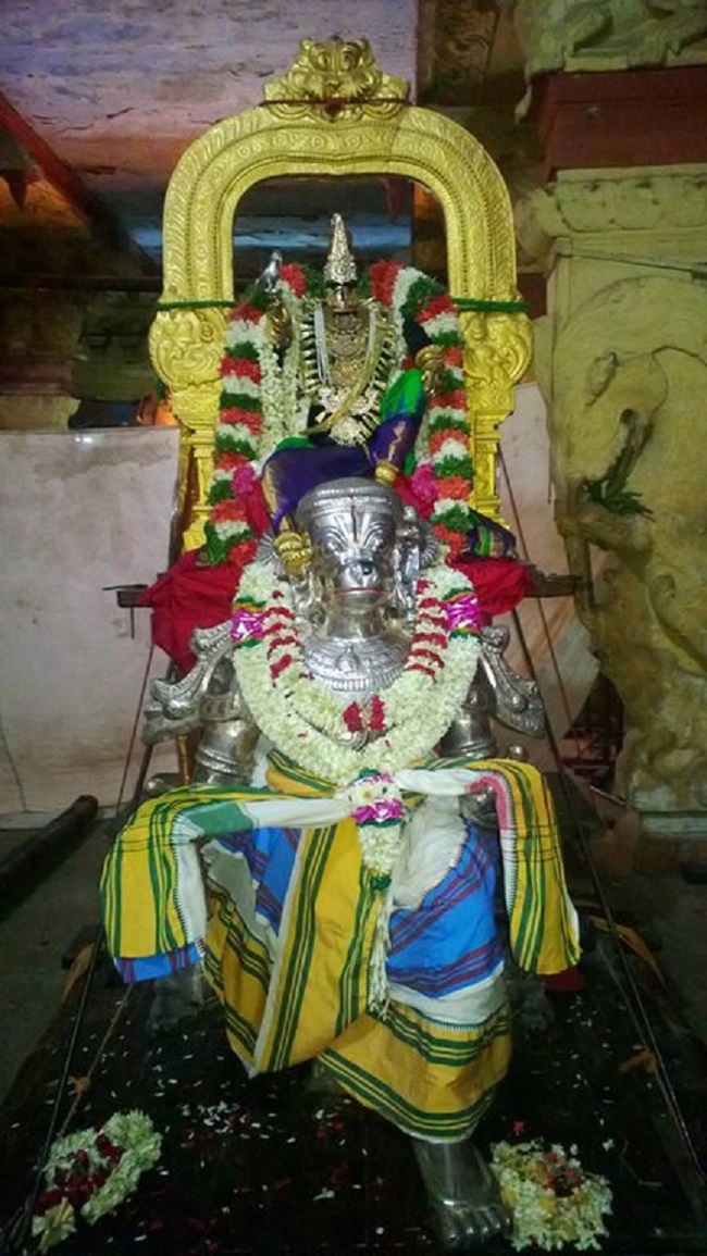Vanamamalai Sri Deivanayaga Perumal Temple Panguni Brahmotsavam2