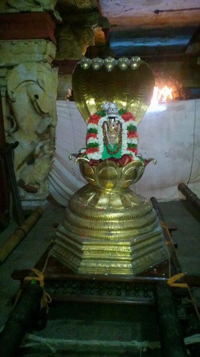 Vanamamalai Sri Deivanayaga Perumal Temple Panguni Brahmotsavam4