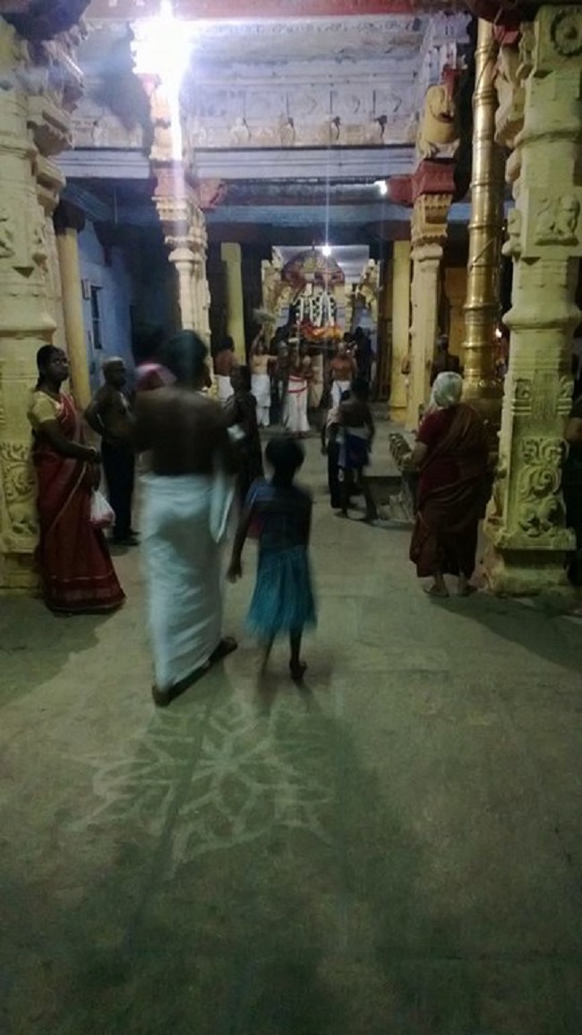 Vanamamalai Sri Deivanayaga Perumal Temple Ugadi Purappadu1