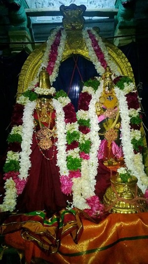 Vanamamalai Sri Deivanayaga Perumal Temple Ugadi Purappadu5