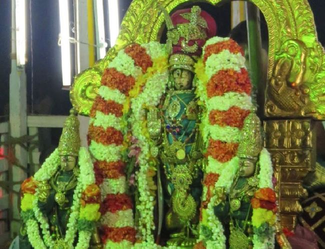 kanchi Sri Devaperumal Thenneri Theppotsavam  2015 -12