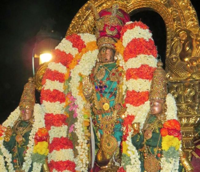 kanchi Sri Devaperumal Thenneri Theppotsavam  2015 -30