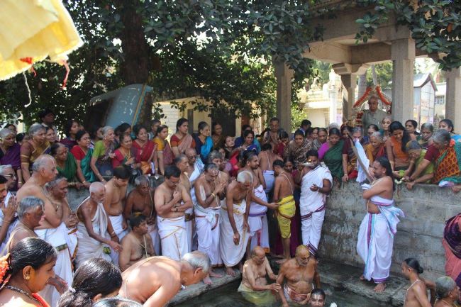 malleswaram Sri Lakshmi narasimha Swami Temple Brahmotsavam Theerthavari 2015 -02