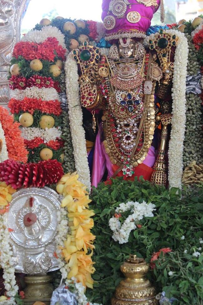 malleswaram Sri Lakshmi narasimha Swami Temple Brahmotsavam Theerthavari 2015 -07