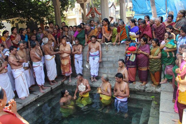 malleswaram Sri Lakshmi narasimha Swami Temple Brahmotsavam Theerthavari 2015 -15