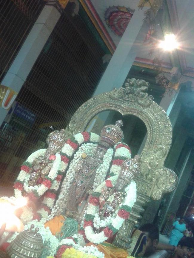 thiruvallur Sri Veeraraghava Perumal Ugadhi Purapadu 21-03-2015  1
