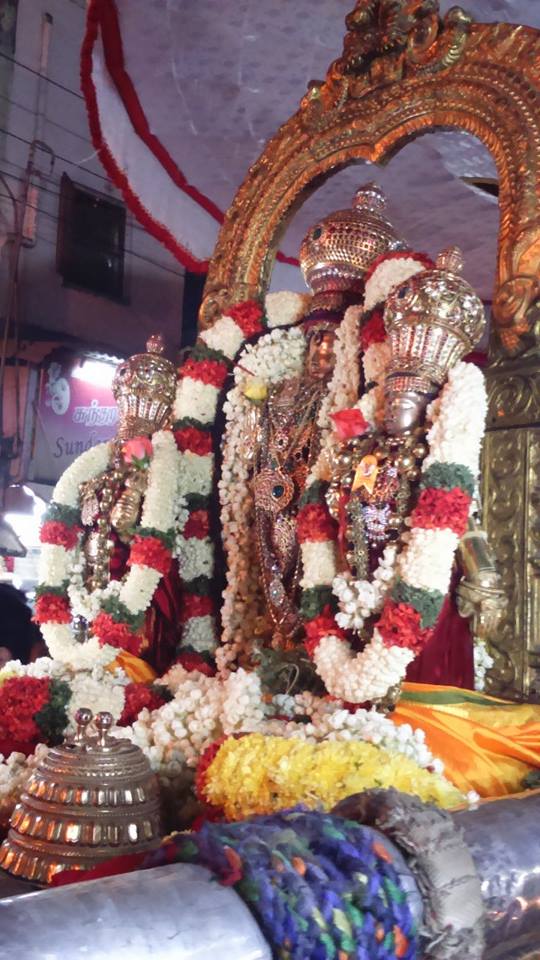 thiruvallur Sri Veeraraghava Perumal Ugadhi Purapadu 21-03-2015  2